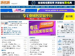 換個域名，竟如換棟別墅？互聯(lián)網(wǎng)域名注冊服務(wù)的價值與策略