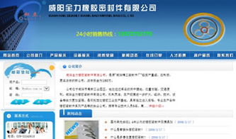 萬企互聯(lián) 一站式互聯(lián)網(wǎng)解決方案，助力企業(yè)數(shù)字化騰飛